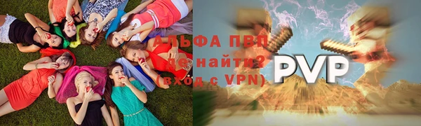 СК Покров