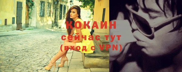 сатива Шали