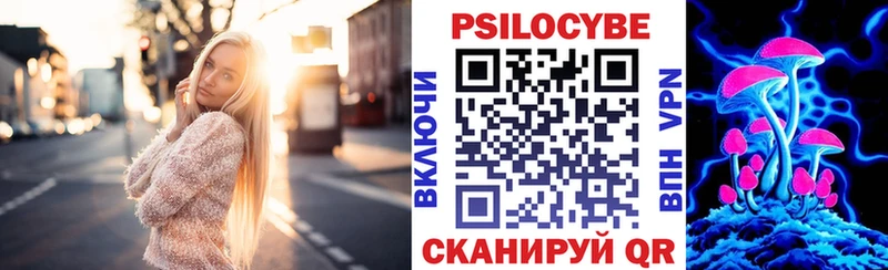 наркота Балей Галлюциногенные грибы мицелий